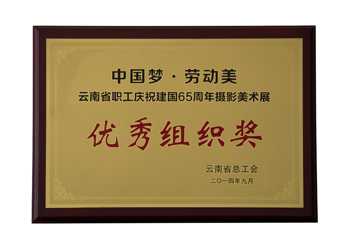 優(yōu)秀組織獎（建國65周年攝影美術展）